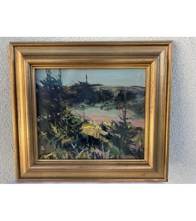 Paveikslas Gamtos peizažas, aliejus, kartonas mediniame rėme. Kaina 43