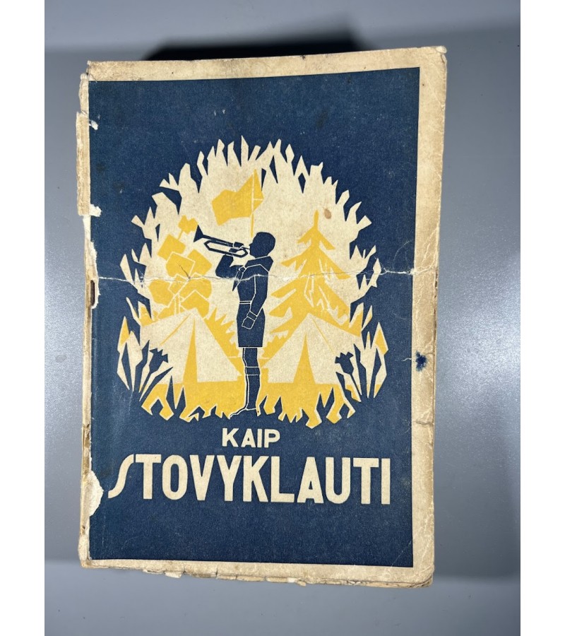 Knyga Kaip stovyklauti, K. Avižonis, 1933 m. Kaina 36