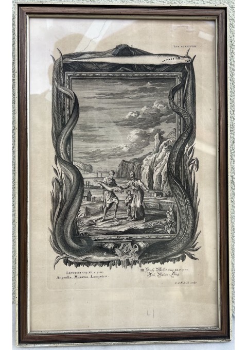 Paveikslas graviūra, antikvarinė. XVIII a, pr. Kaina 28