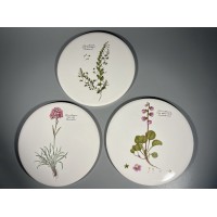 Padėklai, padėkliukai, lėkštės dekoruoti gėlėmis, botaninėmis iliustracijomis su užrašais. Gamintojas: H & R JOHNSON LTD. MADE IN ENGLAND. 3 vnt. Kaina po 13