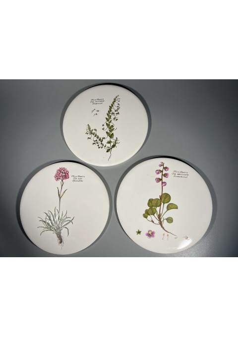 Padėklai, padėkliukai, lėkštės dekoruoti gėlėmis, botaninėmis iliustracijomis su užrašais. Gamintojas: H & R JOHNSON LTD. MADE IN ENGLAND. 3 vnt. Kaina po 13