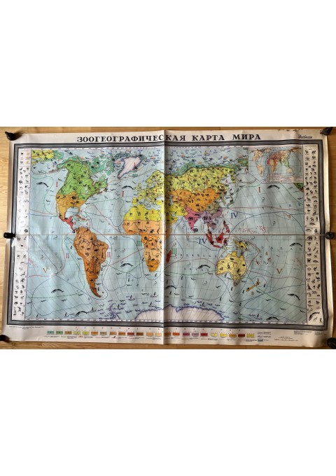 Žemėlapis Pasaulio zoografinis, sovietinis, tarybinių laikų, rusų k., 1978 m., didelis: 128 x 193 cm. 4 vnt. Kaina po 43 