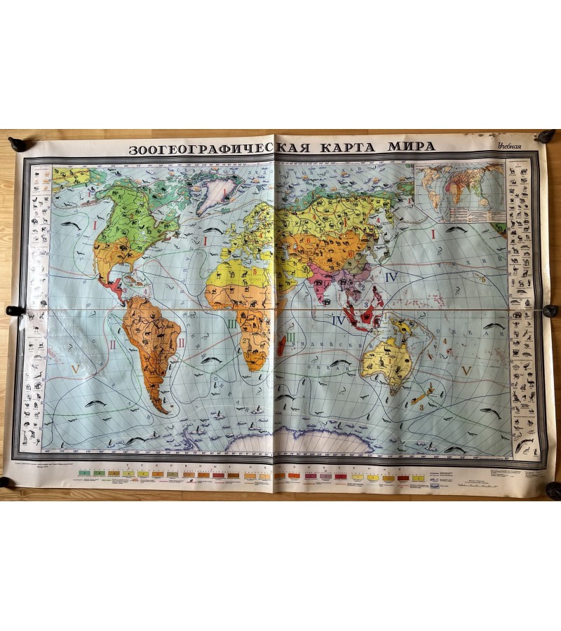 Žemėlapis Pasaulio zoografinis, sovietinis, tarybinių laikų, rusų k., 1978 m., didelis: 128 x 193 cm. 4 vnt. Kaina po 43 