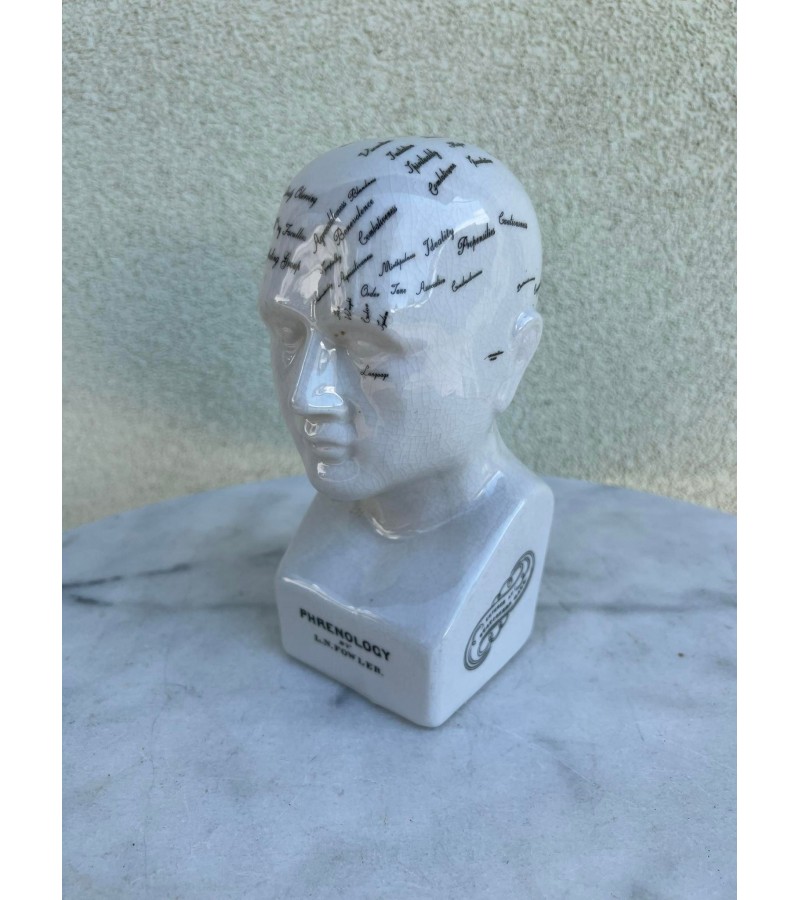 Galva, frenolooginė galvos schema, porcelianinė glazūruota PHRENOLOGY by L. N. Fowler. Kaina 87
