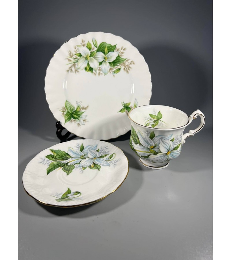Puodeliai su dviem lėkštutėmis porcelianiniai, espresso. By Appointment To H.M. The Queen China Potters PARAGON China Ltd Made in England Reg'd L/L TRILLIUM. 1957 m. Talpa 130 ml. 9 vnt. Kaina po 23