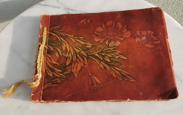 Albumas nuotraukų, 1920 m., Švedija. Kaina 23 už viską.