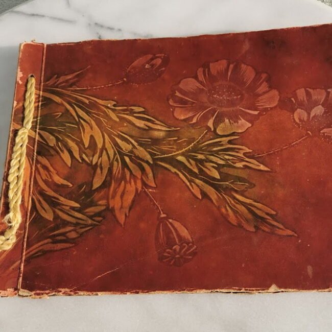 1IMG_20201119_112757.jpg 1IMG_20201119_112757.jpg