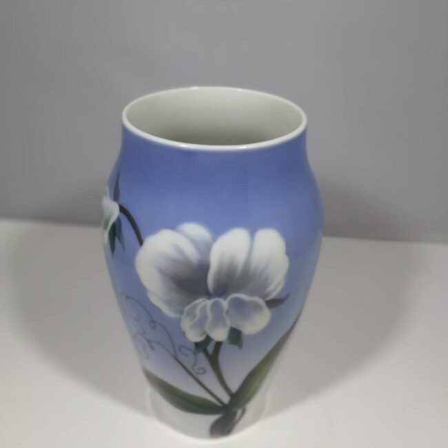 58543695_392074021378414_5455456919529455616_n-1.jpg 58543695_392074021378414_5455456919529455616_n-1.jpg