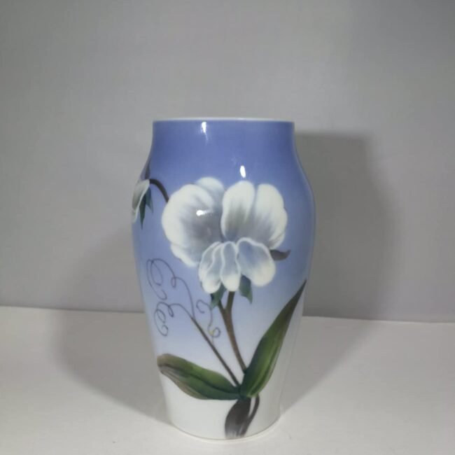 58805589_433091814110543_2646594938405388288_n-1.jpg 58805589_433091814110543_2646594938405388288_n-1.jpg