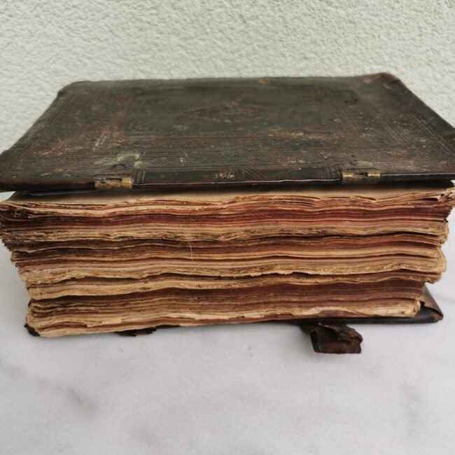 5IMG_20201112_103729.jpg 5IMG_20201112_103729.jpg