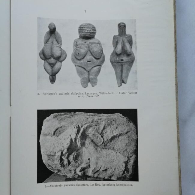 68646788_366011304081041_7414195291949105152_n-1.jpg 68646788_366011304081041_7414195291949105152_n-1.jpg