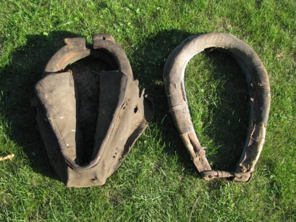 Pavalkai. Kaina 13 Eur.