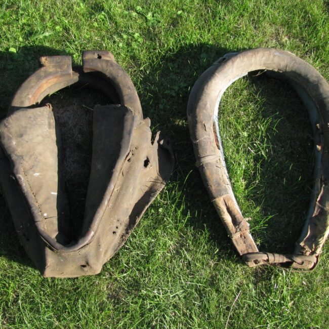 Arkliui20lankai20IMG_5.jpg Arkliui20lankai20IMG_5.jpg