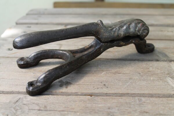 Antikvarinis medicininiu buteliu kamsciu uzspaudejas. Kaina 58