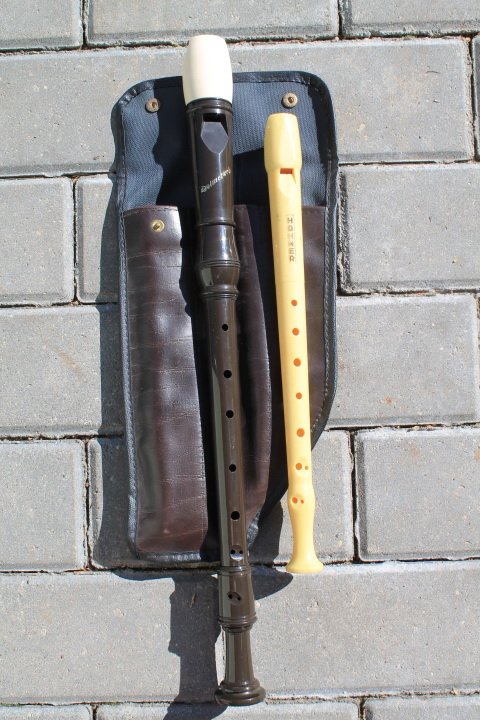 Fleitos: Hohnner ir Dolmetsch. Kaina po 12