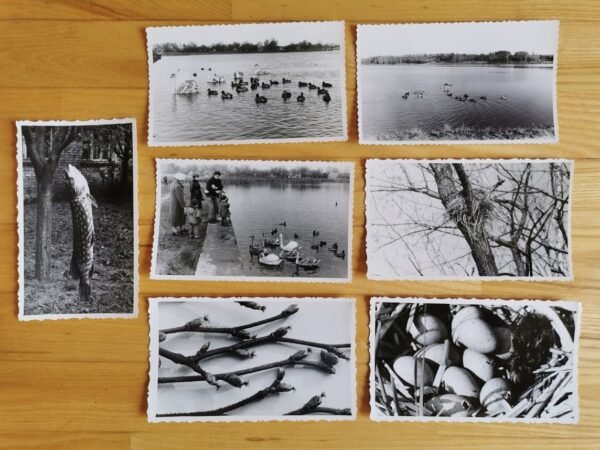 Nuotraukos meninės, Lietuva. Kaina 6 už visas.