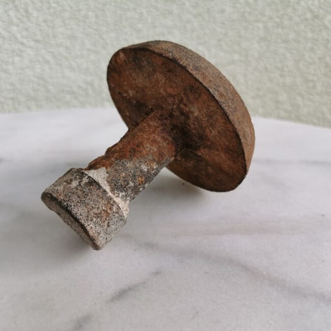 IMG_20201008_113117.jpg IMG_20201008_113117.jpg