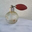IMG_20201109_101311.jpg