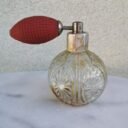 IMG_20201109_101320.jpg