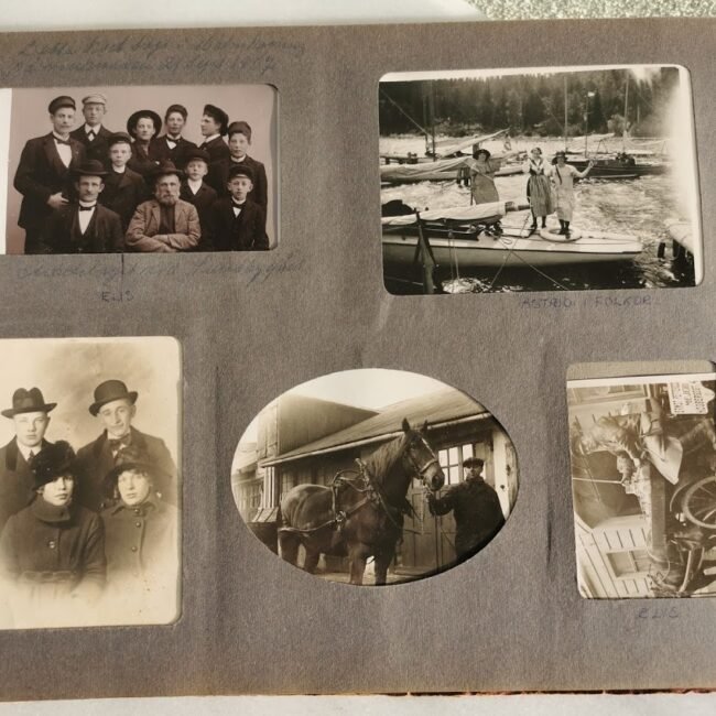 IMG_20201119_112646.jpg IMG_20201119_112646.jpg