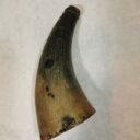 IMG_20201215_083003.jpg