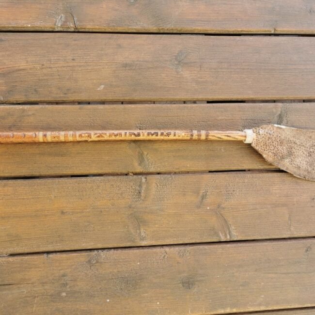 IMG_20210227_085854.jpg IMG_20210227_085854.jpg