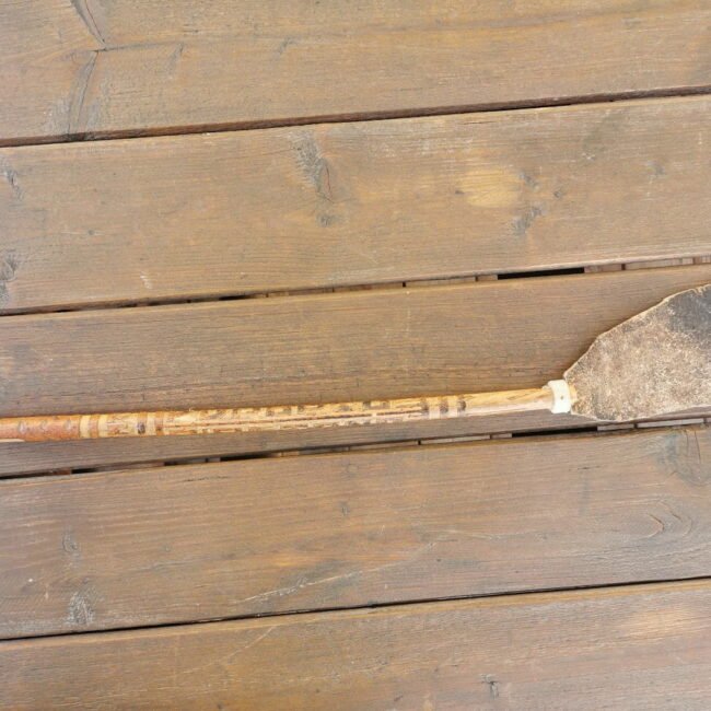 IMG_20210227_105441.jpg IMG_20210227_105441.jpg