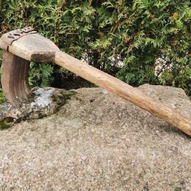 IMG_20210314_115928.jpg IMG_20210314_115928.jpg