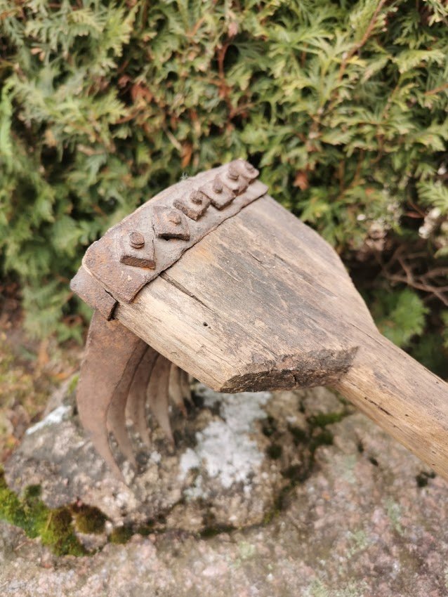 IMG_20210314_115936.jpg IMG_20210314_115936.jpg