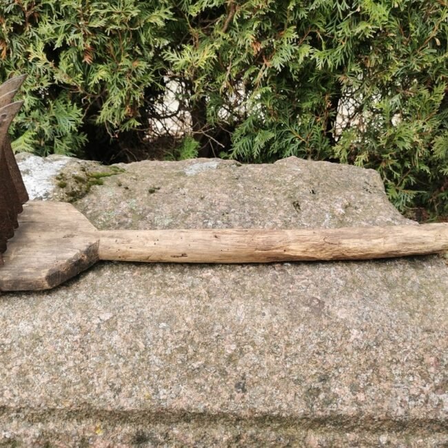 IMG_20210314_115951.jpg IMG_20210314_115951.jpg