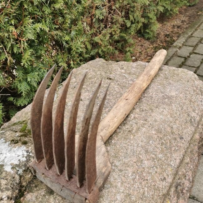 IMG_20210314_115958.jpg IMG_20210314_115958.jpg