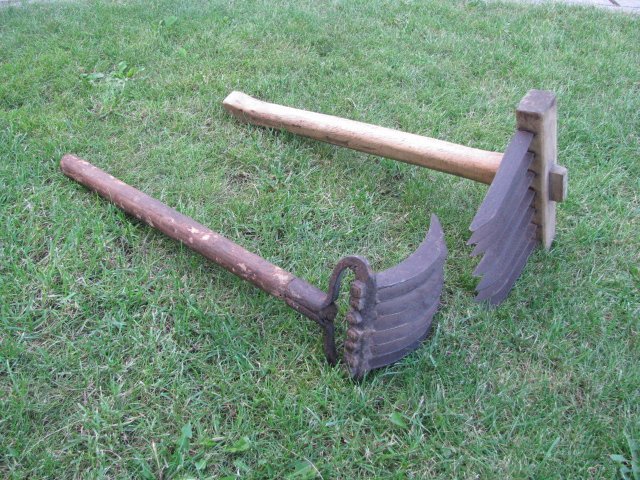 Linu20sukos20IMG_010.jpg Linu20sukos20IMG_010.jpg