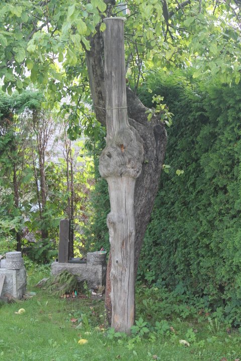 Rastas su gumbu. Kaina 21 Eur.