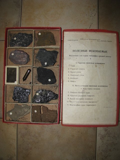 Naudingu iskasenu pavyzdziu rinkinys. Kaina 18 Eur.