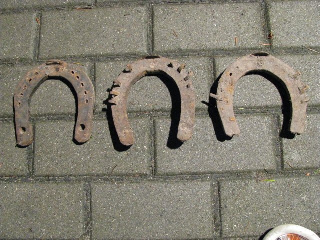 Pasagos20IMG_0819.jpg Pasagos20IMG_0819.jpg