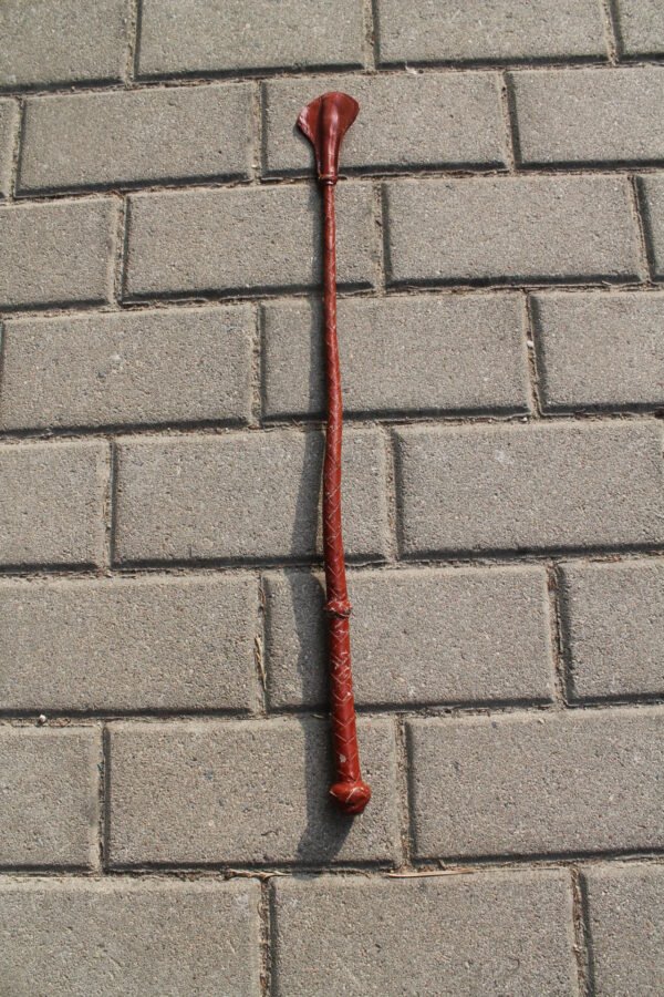 Rimbas, botagas, vytinys trumpasis. Kaina 22