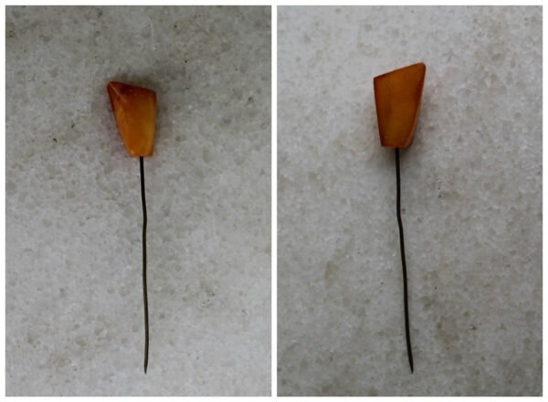 Segė, smeigtukas su gintaru. Kaina 12