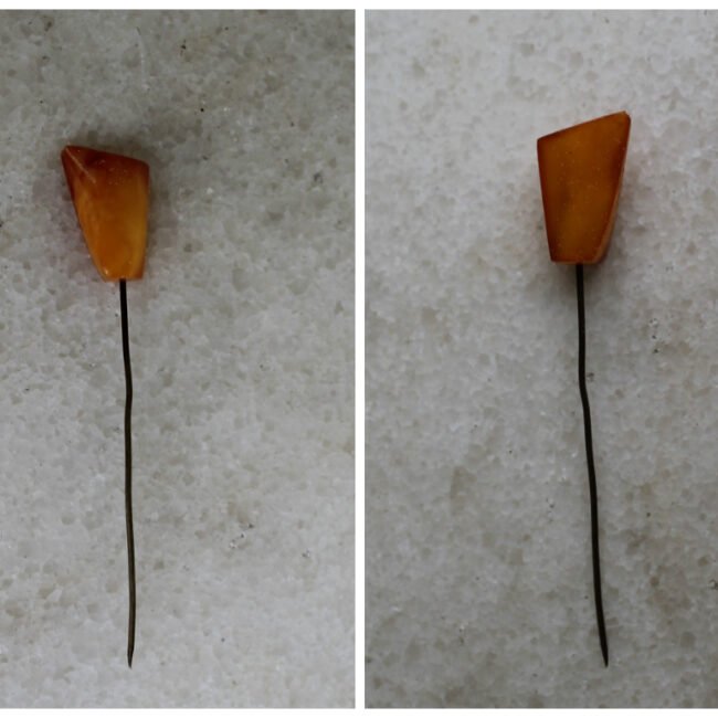 Sage20plaukams20su20gintaru20IMG_50-1.jpg Sage20plaukams20su20gintaru20IMG_50-1.jpg