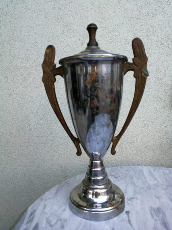 Antikvarine taure. Kaina 57