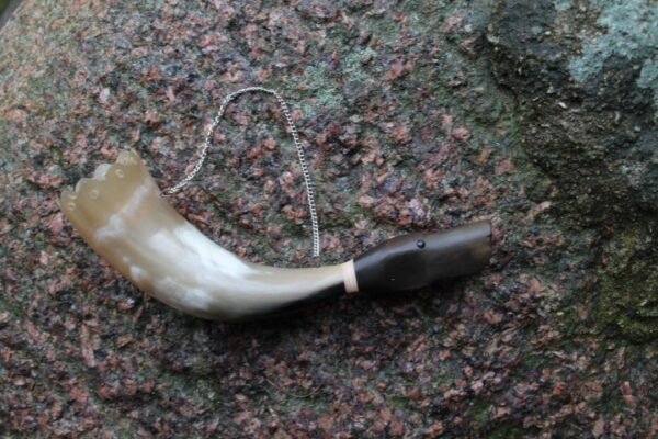 Ragas-svilpukas anciu medzioklei. Kaina 32 Eur.