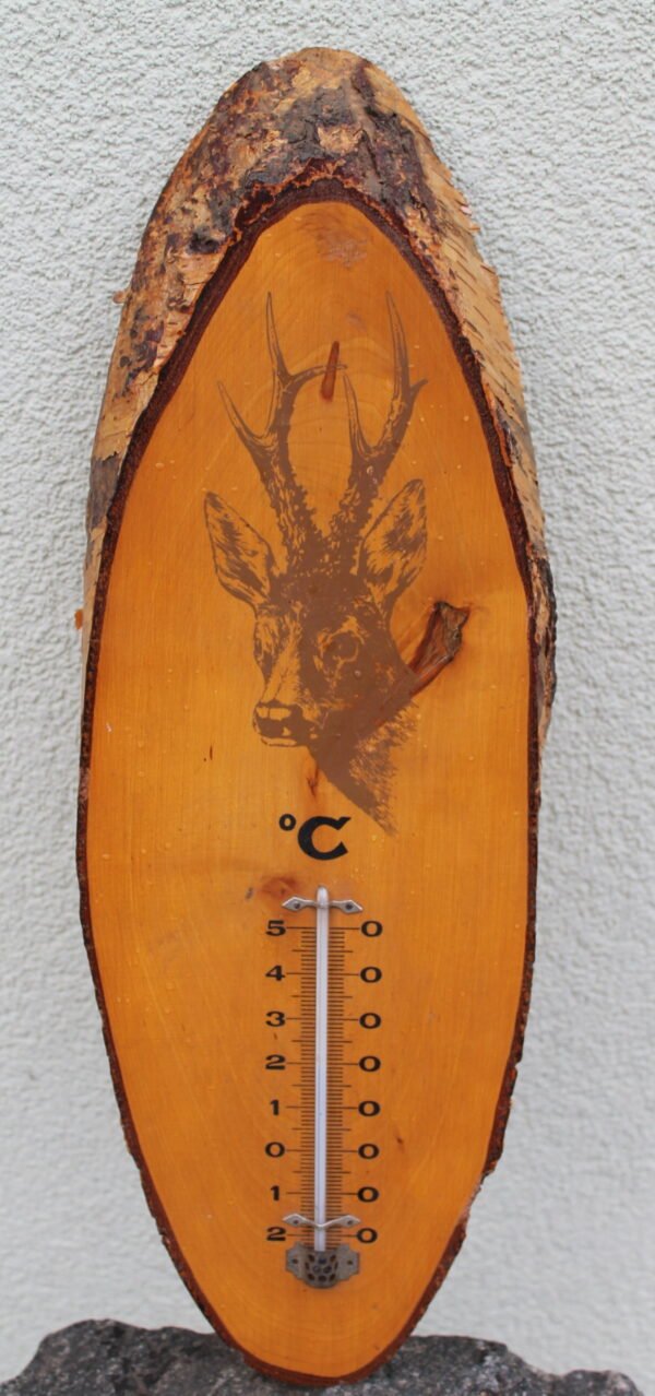 Medinis vintazinis termometras. Kaina 26