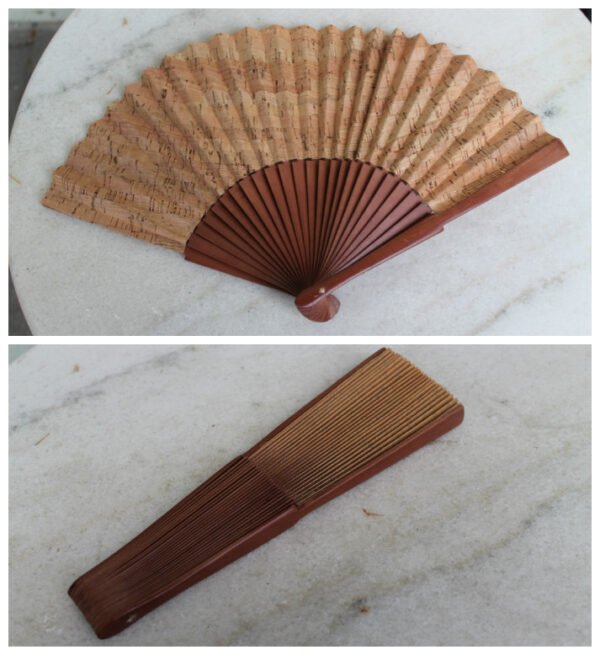 Veduokle kamstinio medzio. Portugalija. Kaina 27