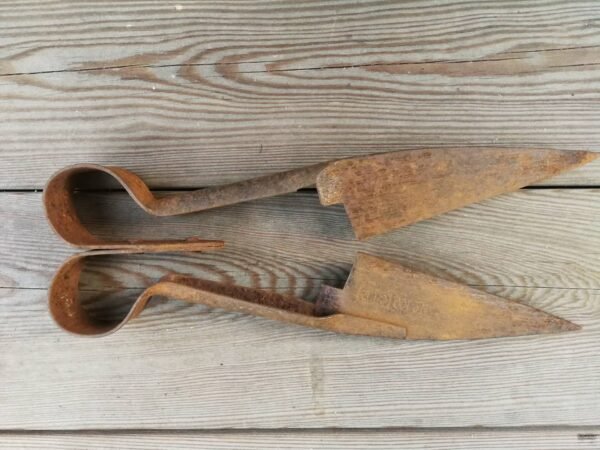 Žirklės avims kirpti antikvarinės. Kaina 16