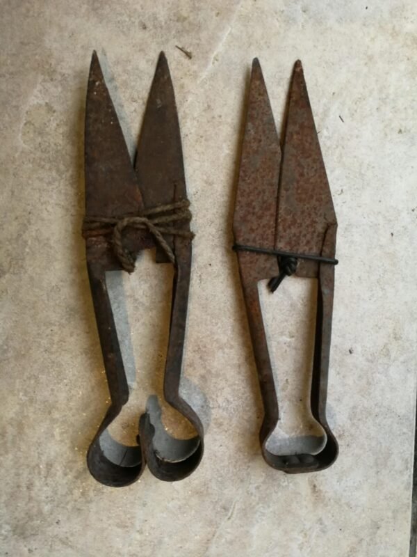 Žirklės avims kirpti antikvarinės. LIKO TIK ANTROS. Kaina 16