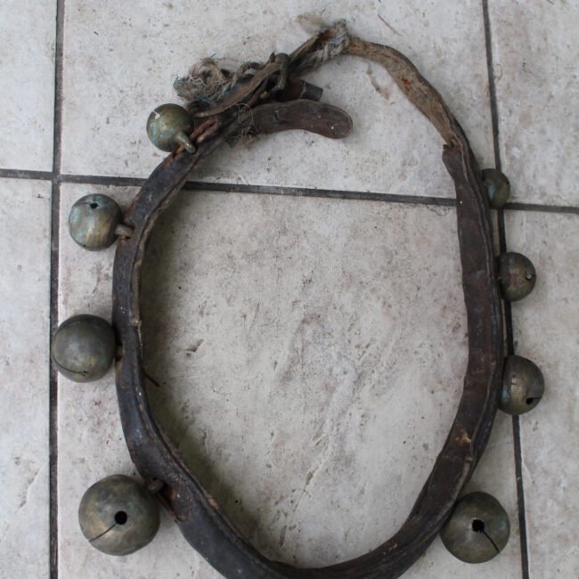 Zvanguliai202IMG_200.jpg Zvanguliai202IMG_200.jpg