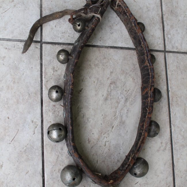 Zvanguliai204IMG_200.jpg Zvanguliai204IMG_200.jpg