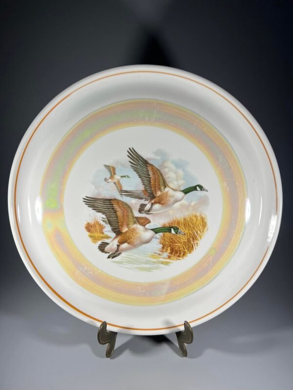 Lėkštė porcelianinė, didelė su žąsimis sovietinė, tarybinių laikų. Skersmuo 30 cm. Kaina 32