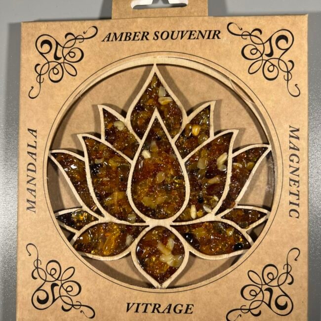 1343715997_771639567902300_4660080319184552871_n.jpg 1343715997_771639567902300_4660080319184552871_n.jpg