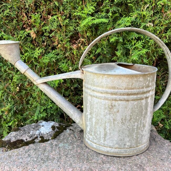 1351540994_617571940316380_6736945002479083452_n.jpg 1351540994_617571940316380_6736945002479083452_n.jpg