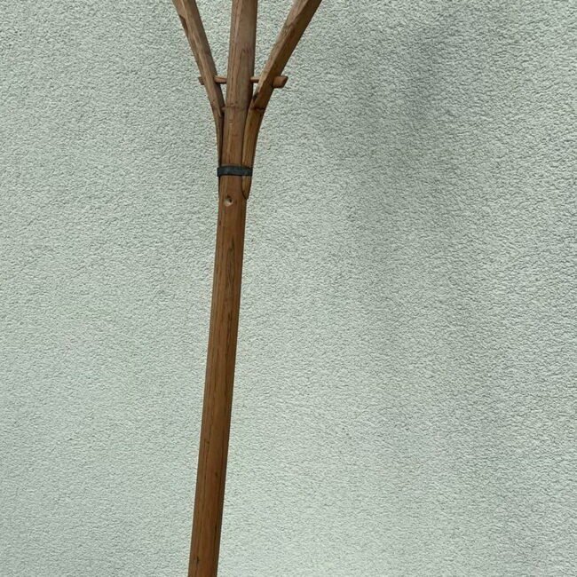 1368911076_264425779705468_2309878762224110819_n.jpg 1368911076_264425779705468_2309878762224110819_n.jpg